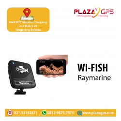 Fishfinder Wifish Raymarine